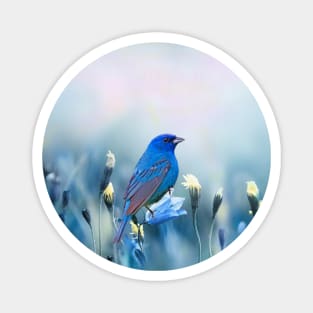 Indigo Bunting Bird in Spring Magnet